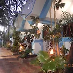Birdsong, Anjuna