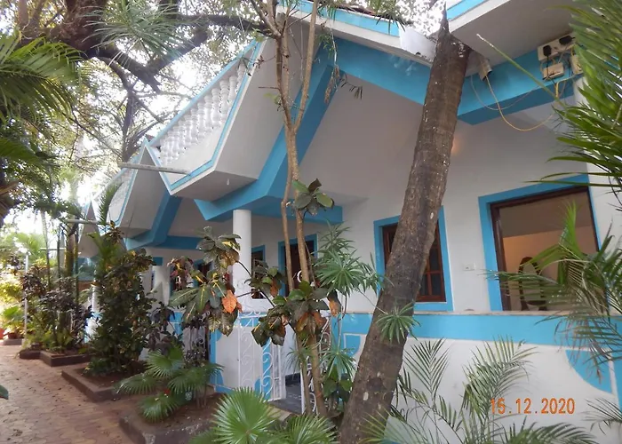 Birdsong, Anjuna