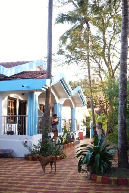 Birdsong, * Anjuna