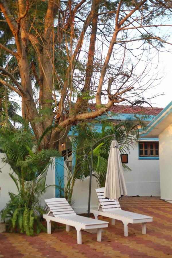 Birdsong, Homestay *